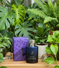 Perfume for Men - Lulu Laverne