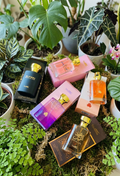 Box of 12 Assorted Perfume for Men & Women - Our Extra Special